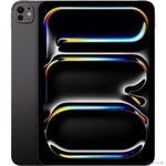 Apple iPad Pro 13-inch (M5) Wi-Fi + Cellular 256Gb with Standard glass Space Black (ME7W4LL/A)