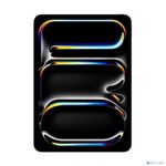 Apple iPad Pro 11-inch (M5) Wi-Fi + Cellular 256Gb with Standard glass Space Black (ME2N4HN/A)